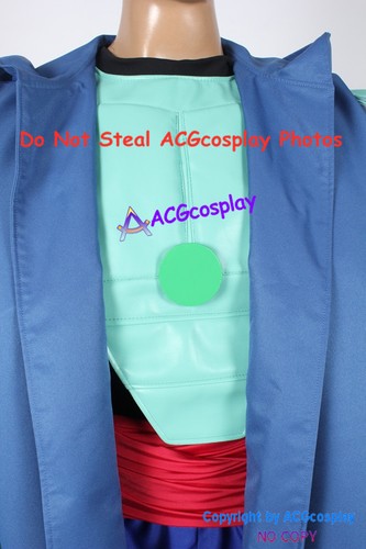Big Hero 6 cosplay Wasabi Cosplay Costume include pvc prop made emblem - Picture 2 of 5