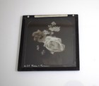 Foto 2 di 5
