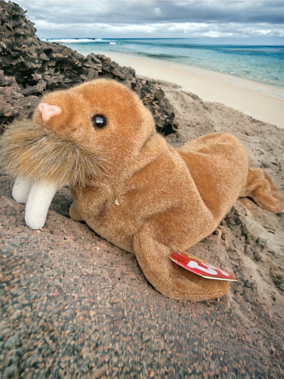 Ty  Walrus Retired Beanie Baby 1999- Baby Walrus - Like Wally 8""L With TAGS VGC