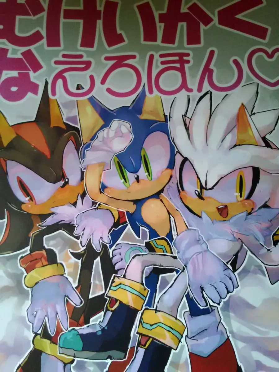 Sonic the Hedgehog Doujinshi Sonic , Silver , Shadow (B5 20pages