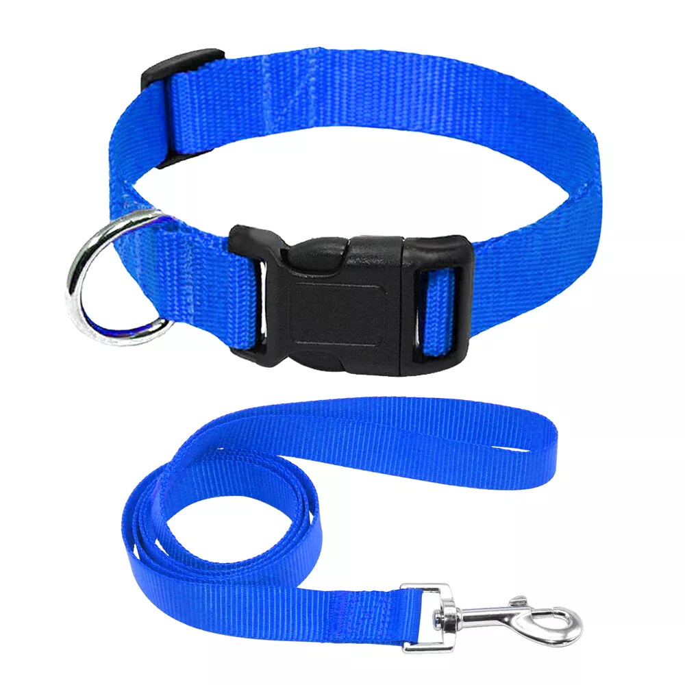 Cheap dog store leads