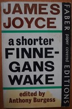 A SHORTER FINNEGANS WAKE By James Joyce & Anthony Burgess **Mint Condition**