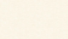 Cotton Shot Light Linen