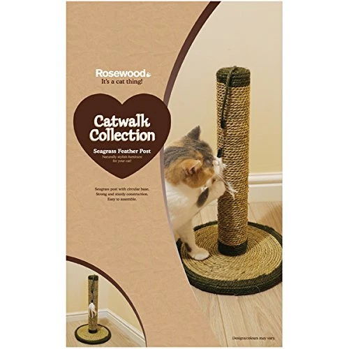 Seagrass cat store scratcher