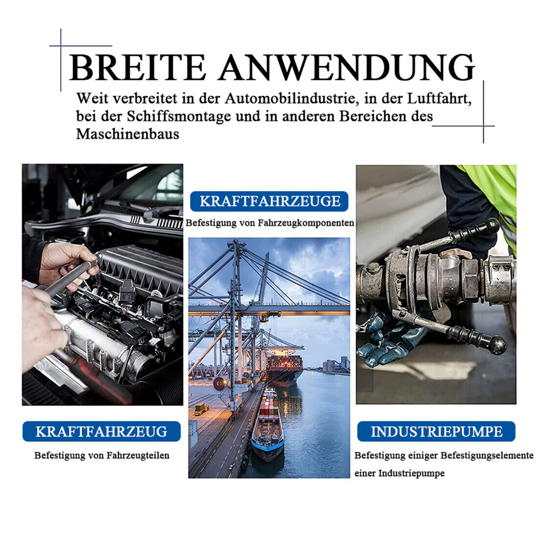 Bild 6 von 15