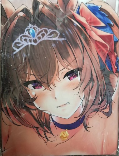 y10 Dakimakura Bezug Daiwa Scarlet Uma Musume Pretty Derby Plüsch 160x50cm