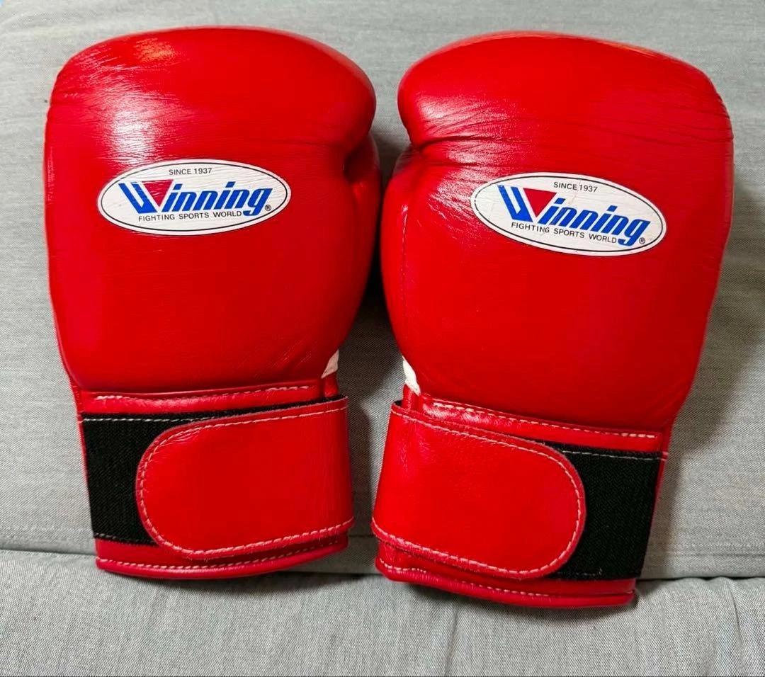 Winning 10 oz. Weight Boxing Gloves for sale | eBay