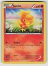Torchic XY37 Promo XY Black Star Promos Pokemon Holo HP