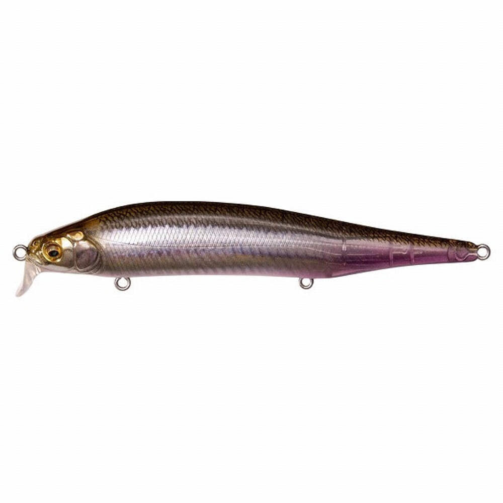 Megabass Bass Lure ITO Shiner SSR FA Ghost Wakasagi | eBay