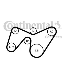 Keilrippenriemensatz CONTINENTAL CTAM 6PK1642K2 für FORD MONDEO BWY B5Y B4Y 3