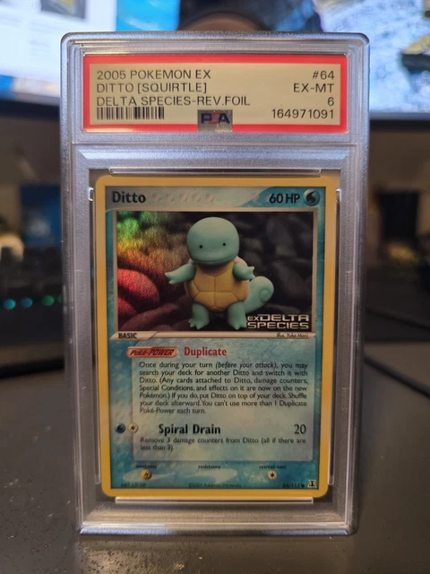Ditto [Squirtle]