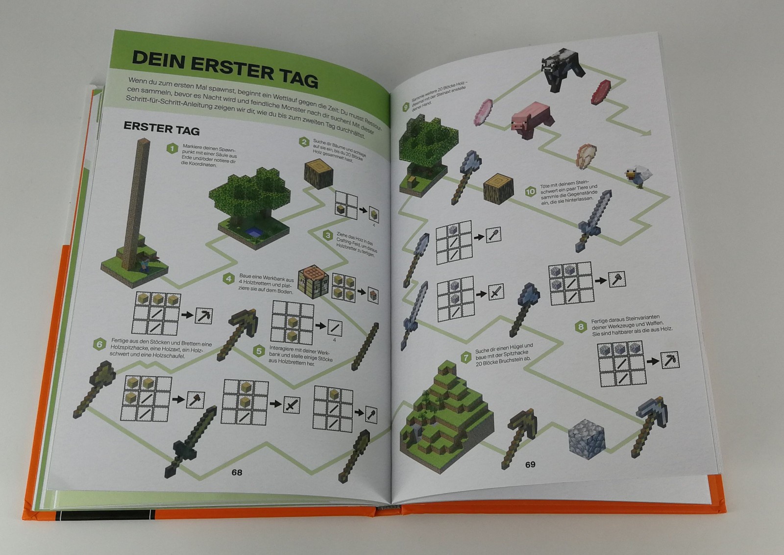 Bild 10 von 15