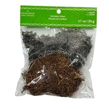 Ashland Gray and Brown Reindeer Moss for Terrariums, Floral Arrangements, Crafts