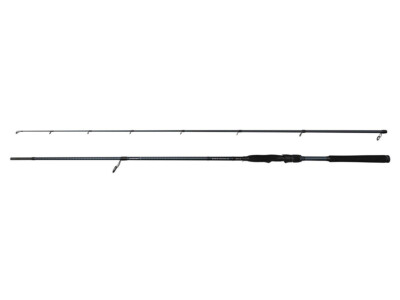 NEU 2025 Savage Gear Defiance SG4 Inshore 2.29m X-FAST Spinruten 2-Teile