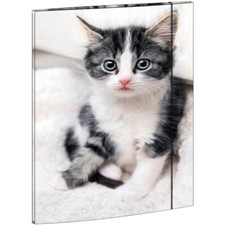 RNK Verlag Zeichenmappe "Katze" A3