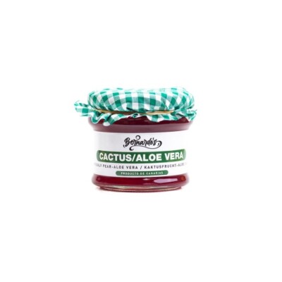 indischer gummibaum Gummibaum XL