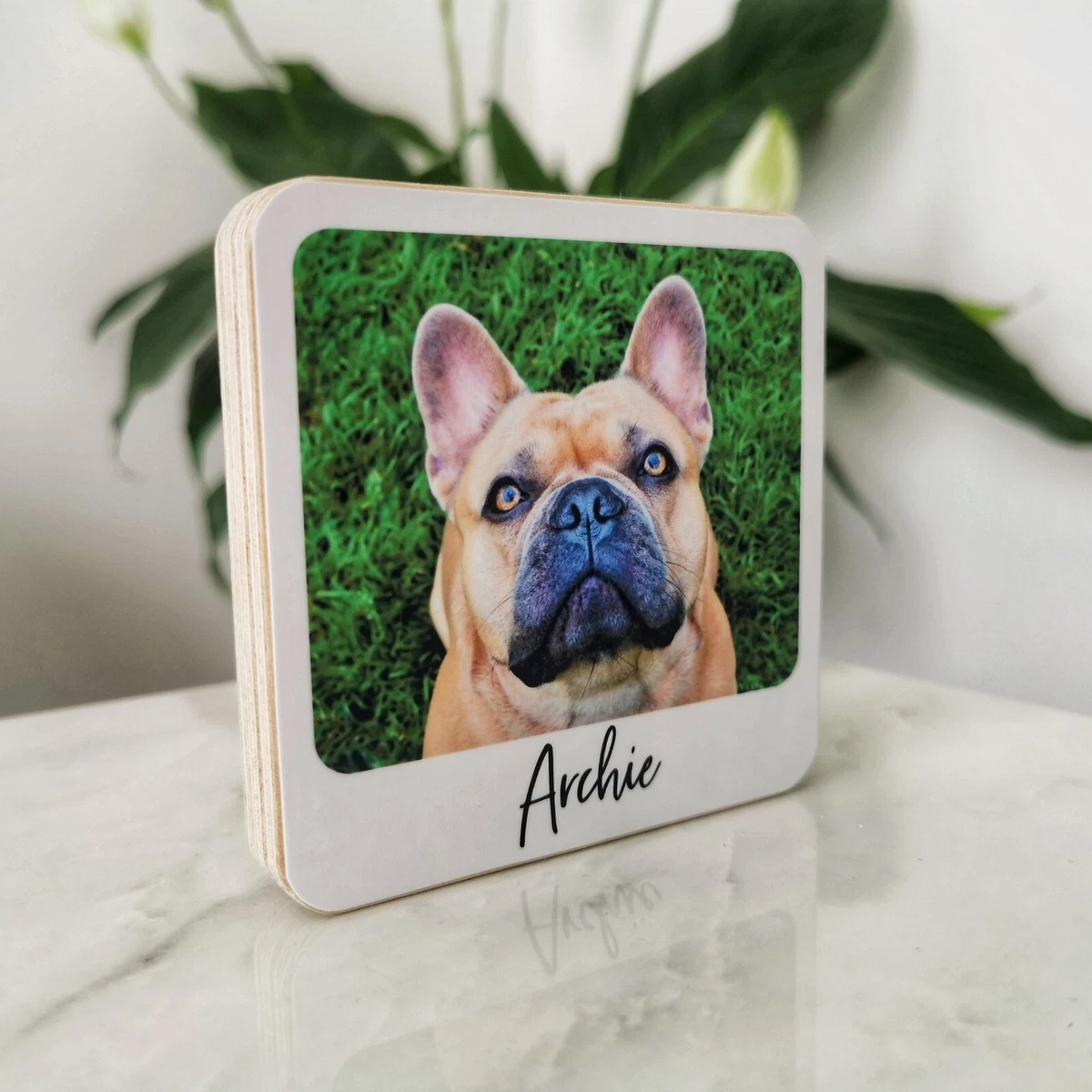 Personalised dog gifts for cheap owners