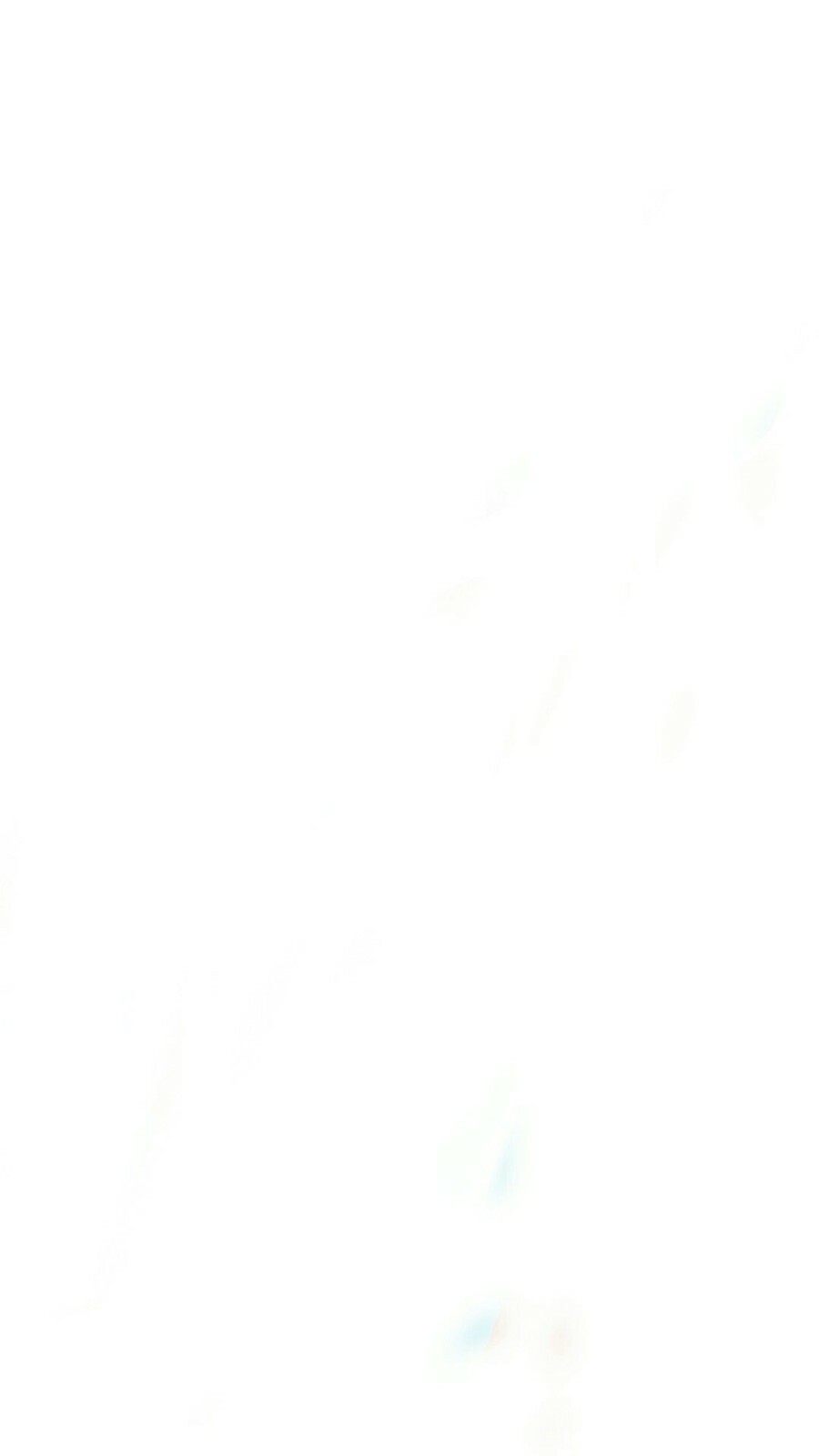 Bild 11 von 12