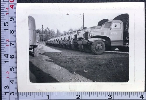 WW2 Era Trucks Line Up Motor Pool Camp Supplies BW Photo Snapshot