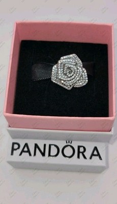 Pandora Rose in Bloom Oversized Charm  793245C01 W/ Box D83