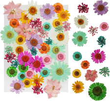 43Pcs Dried Pressed Flowers for Resin, Real Flowers Dry Leaves Bulk Natural Herb