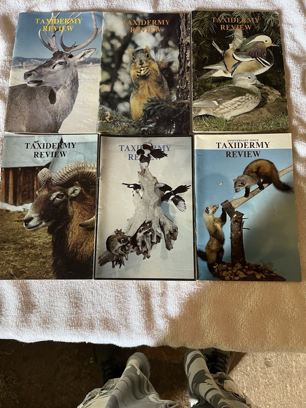Taxidermy Review Magazines A  Full Year 1979. Six Vintage Magazines Total.