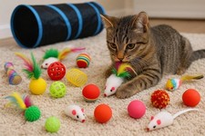 Cat Toy Set   22 Pack  Interactive Play Kit for Cats  Kittens