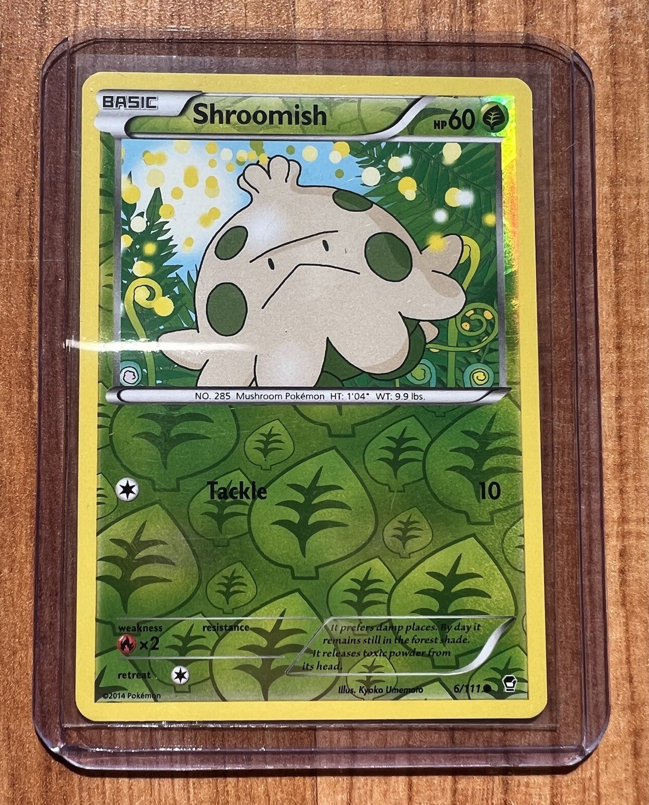 Shroomish - 6/111 - Common - Reverse Holo - XY Furious Fists LP
