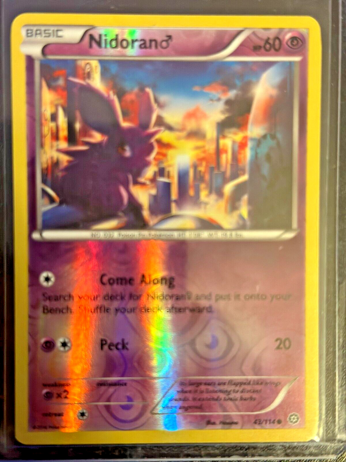 Pokemon TCG NIDORAN (m) 43/114 - XY Steam Siege - Rev Holo NM
