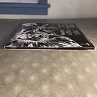 Picture 17 of 17