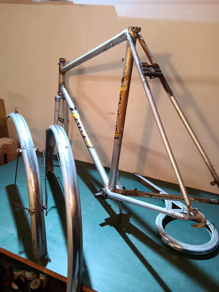 Telaio ATALA - Rizzato Condorino e acc. - Vintage - Immagine 2 di 4