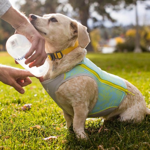 Dog Cooling Vest | Ruffwear Swamp Cooler Zip Puppy Lightweight Summer Jacket New - Picture 8 of 15