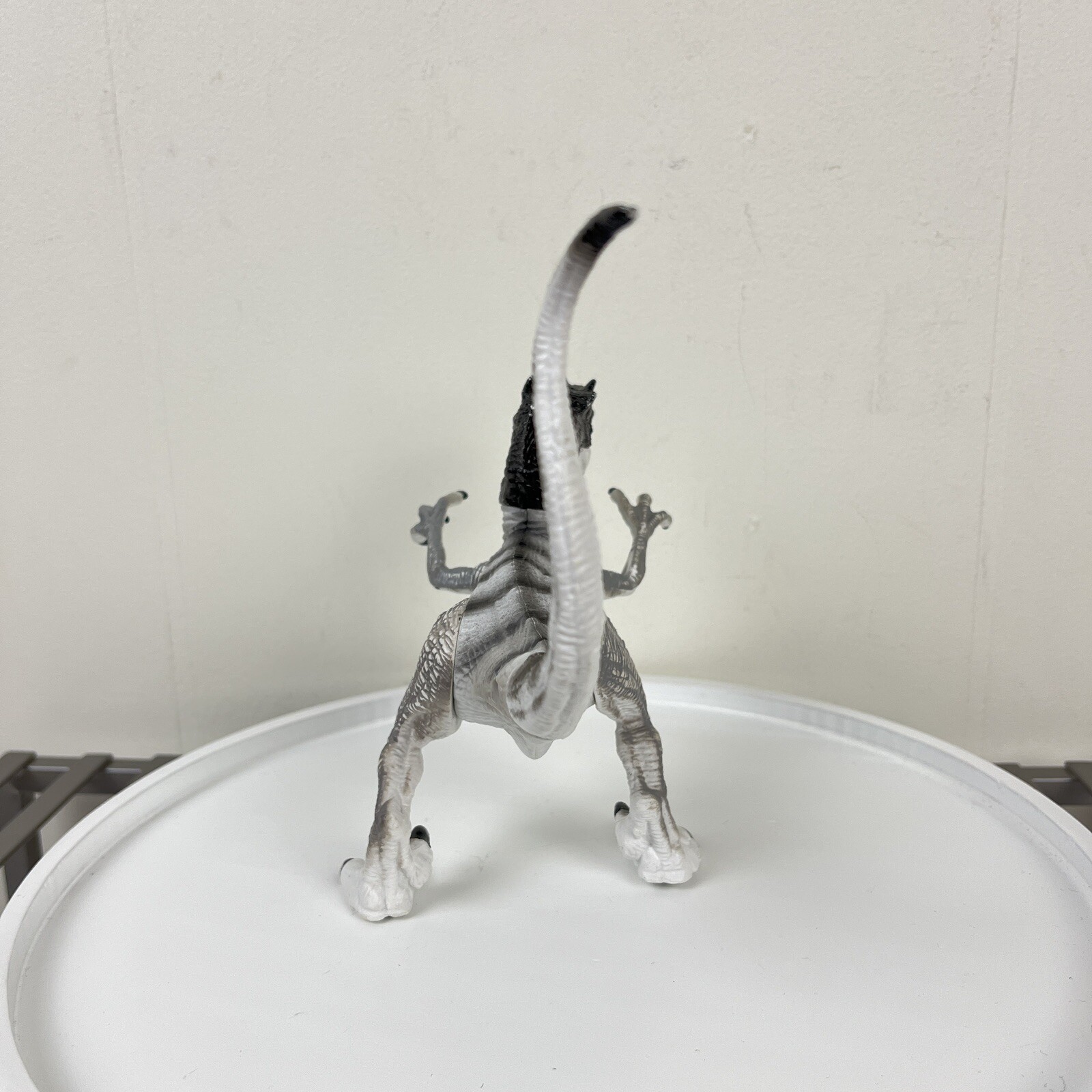 Picture 4 of 5