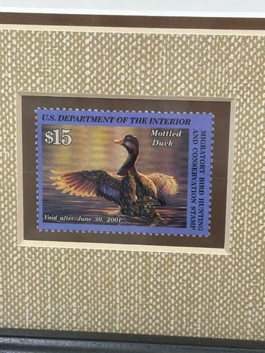 Mottled Duck 2000-2001 6843/12,500 by Adam Grimm - Signed Federal Duck Print - Picture 5 of 7