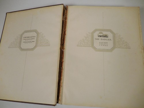 Universidad de Wisconsin Madison 1923 College Anual/Anuario: The Badger - Imagen 3 de 17