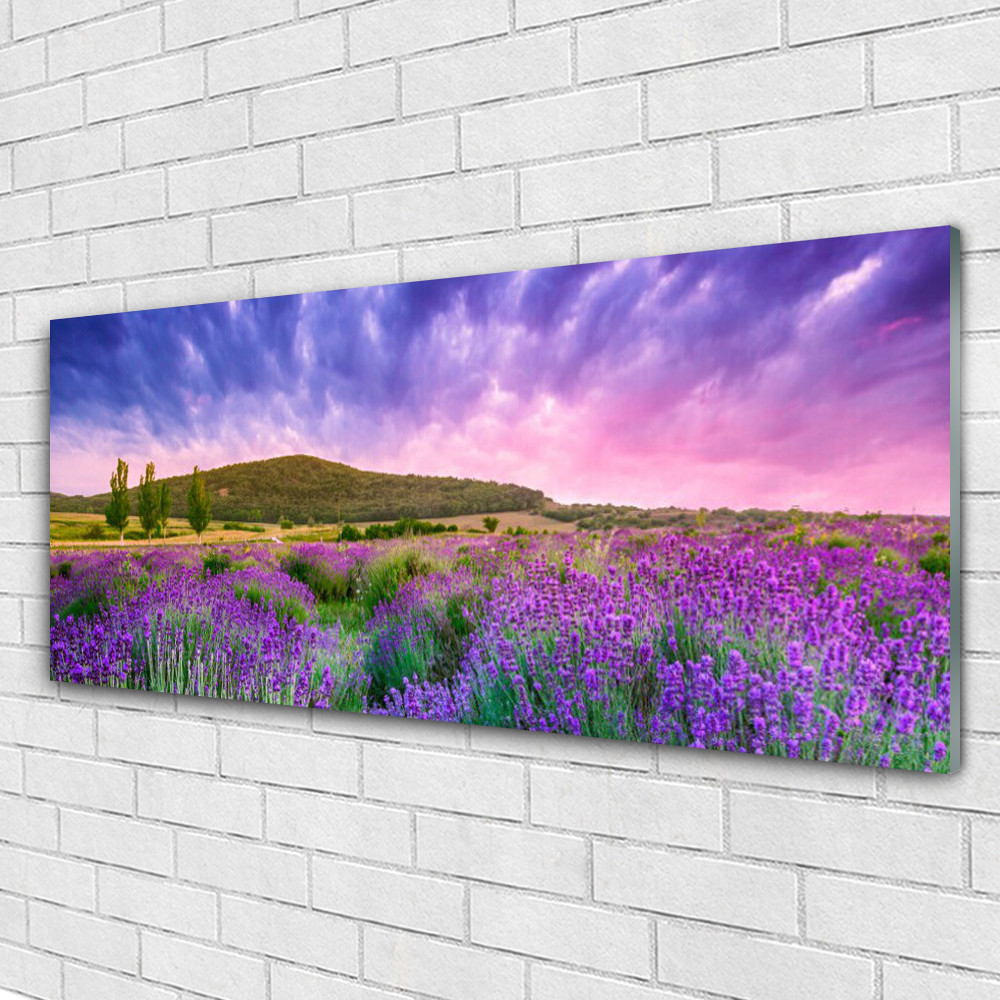 Tableau plexiglas nature grand format 125x50cm déco paysage panorama