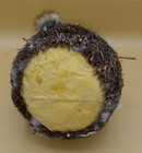 Bild 8 von 8