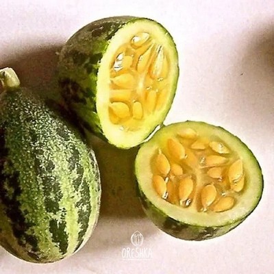 Indische Wildgurke-Melone, Kachri 20 Stück frische Samen. Cucumis pubescens Samen