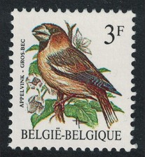 Belgium Hawfinch Bird Buzin  Apelvink - Gros Bec  3f Normal paper 1985 MNH