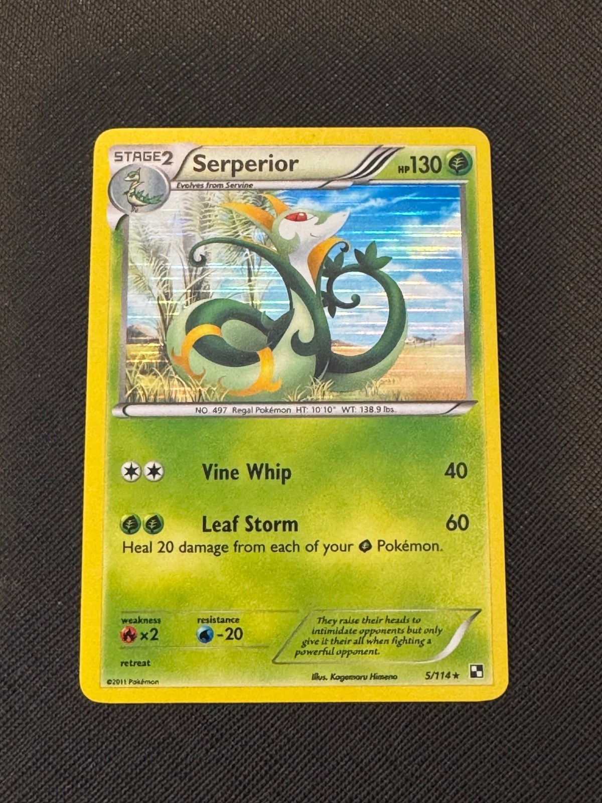 Serperior 5/114 Black & White Shattered Holo Rare Holographic  Pokemon TCG