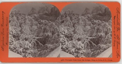 Terrapin point from the Bridge Niagara Falls in Winter Stereoview 1899