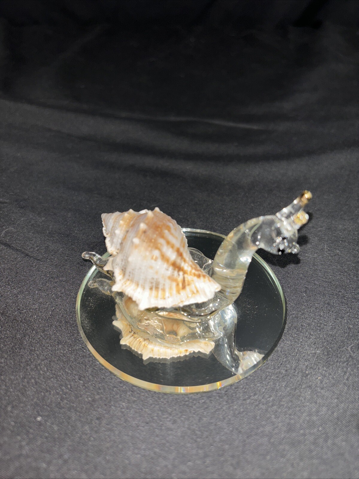 Picture 19 of 24