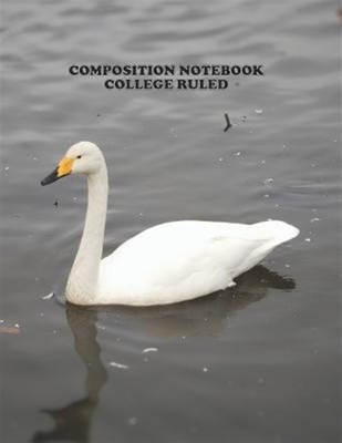 Composition Not College Ruled: High School, Swan Bird, College, Animal, Natur...