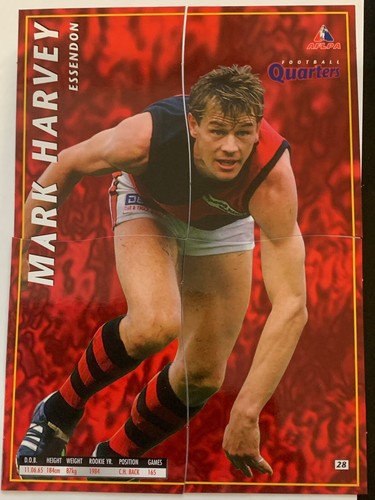 1995 AFL Football Quarters-Choose From Dropdown List-Full 4 Quarters Per One.AVE - Picture 13 of 53