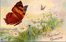 Birthday Greetings Beautiful Butterfly Butterflies Daisies 1900s Postcard