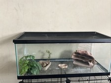 Aquarium Tank Reptile 20 Gallons