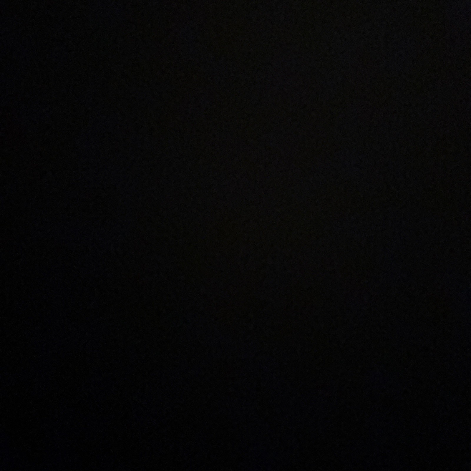 Panda Dunks - image 5