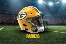 NORTHWEST The Company NFL Green Bay Packers Washable Rug, 20" x 32", Landscap...