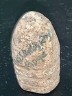 Civil War Relic: Fired Miniball, Dug On MISSIONARY RIDGE Tennessee — photo 3