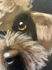 Tableau étude Pastel Chien signé